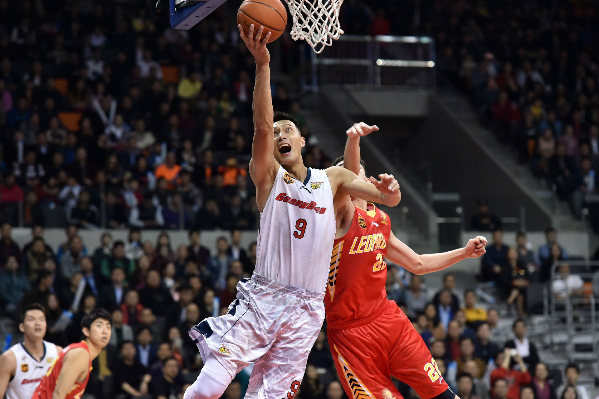 这种统一的 这种统一的