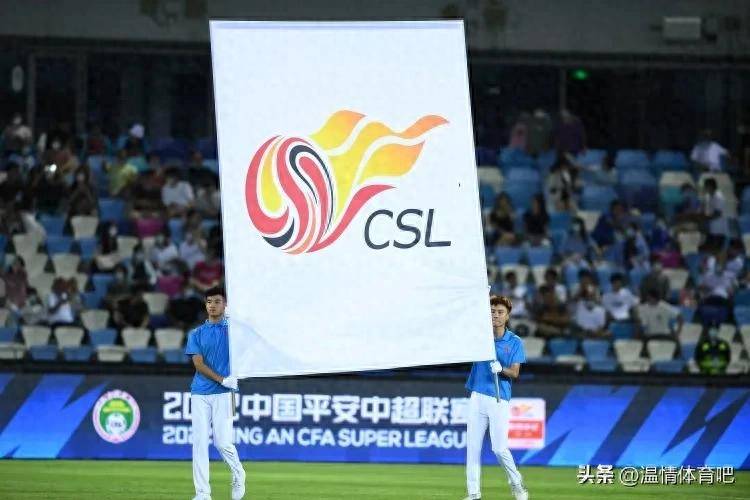 公共情感的 公共情感的